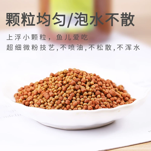 Наблюдение за наградами специально кормить золотую рыбку небольшие гранулы, золотисто -рыба