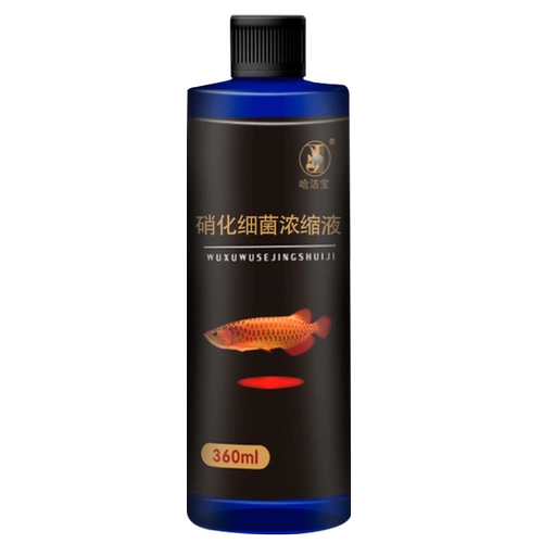 Hajiebao Fish Tank Custication Agent nitrification Bacteria dechloro Parrot Koi Care Liquid Белая точка вода качество воды Стабилизатор качества