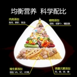 Золотое питание кровь попугай рыба рыба из родило