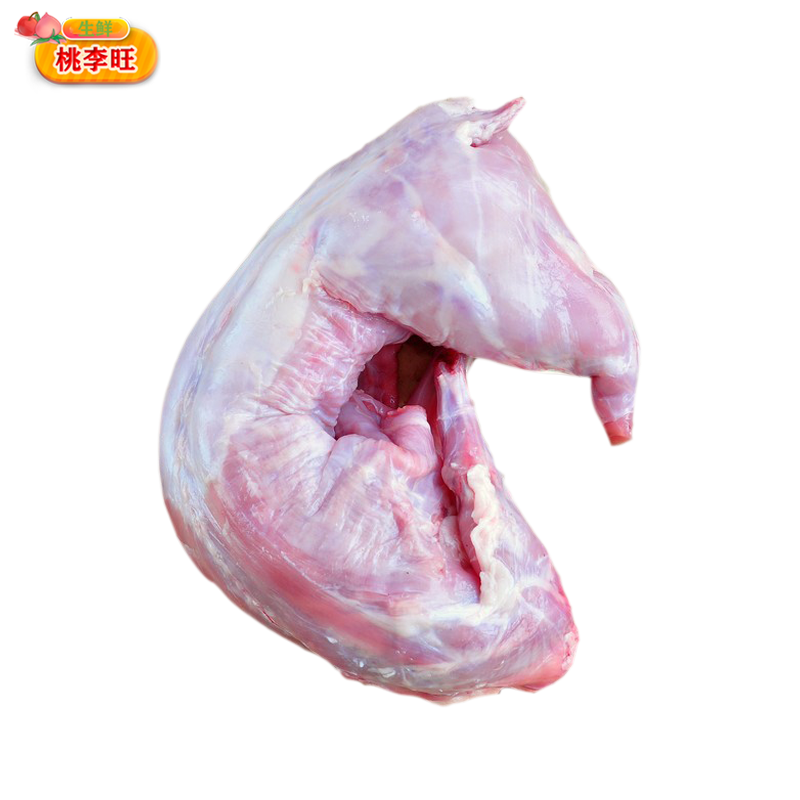 Freshly killed whole rabbit meat with head removed