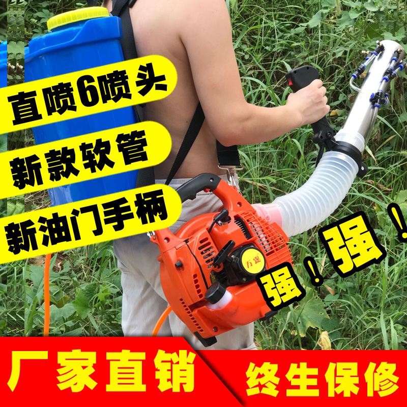 Wind-Delivered Petrol Sprayer Handheld Mass Mist Machine Agricultural Small Fruit Tree Orchard High Pressure Electric Spray Machine