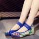 Hibiscus Flower Blue