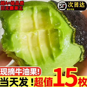 Yunnan Hass Avocado 15 свежих фруктов, сезонные, аутентичные, сливочные, авокадо, очень большие фрукты, спелые и готовые к употреблению, бесплатная доставка