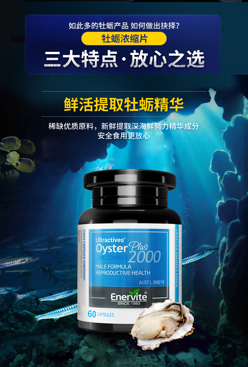 enervite正品牡蛎肽精华锌片