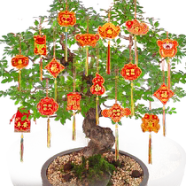 Bonsai small lantern pendant Zodiac ornaments indoor outdoor opening plants New Years Day decoration