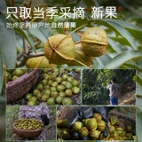 Во время беременности орехи Грецкие орехи Линьян специально производили маленькое мясо грецкого ореха для беременных с закусками и досугом здоровой упаковки