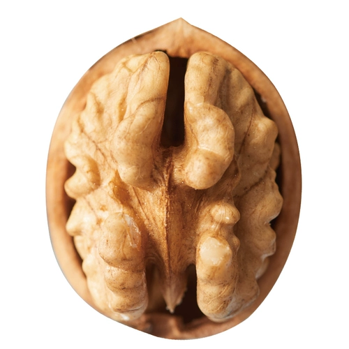 Во время беременности, закусочная бумага из кожи ореховая ореха тонкая кожа тонкая раковина