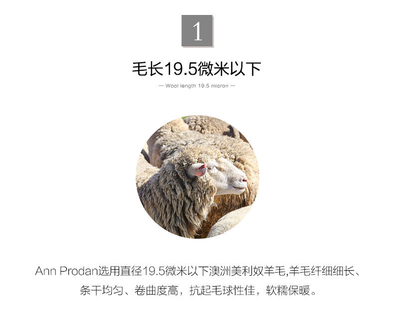 岸鹏 100%精纺羊毛 男士圆领针织衫 图4