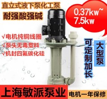 Shanghai minpai liquid sub pump vertical chemical pump anti-corrosion acid and alkali resistant centrifugal pump large pump 0 37kw ~ 7 5kw