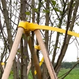 Отличный ~ Дерево поддерживает фиксированное дерево устройства