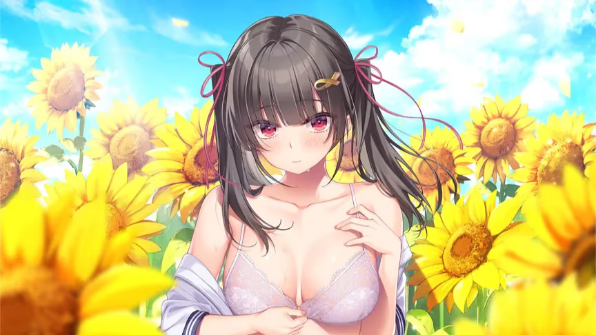 【PC / 汉化】夏への方舟Ⅲ / Natsu e no Hakobune III-玖黎ACG