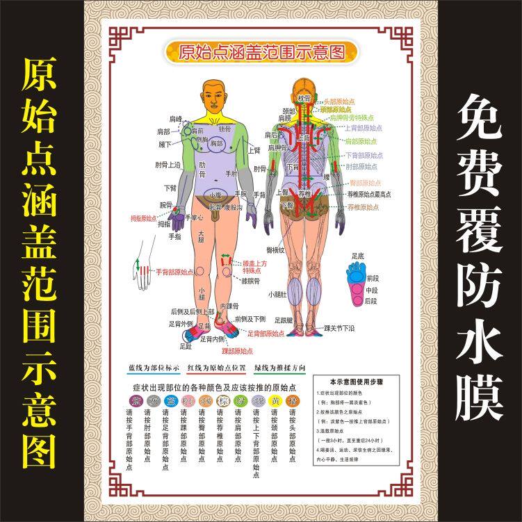 中医养生推拿按摩原始点涵盖范围示意图海报人体经络穴位图大挂图