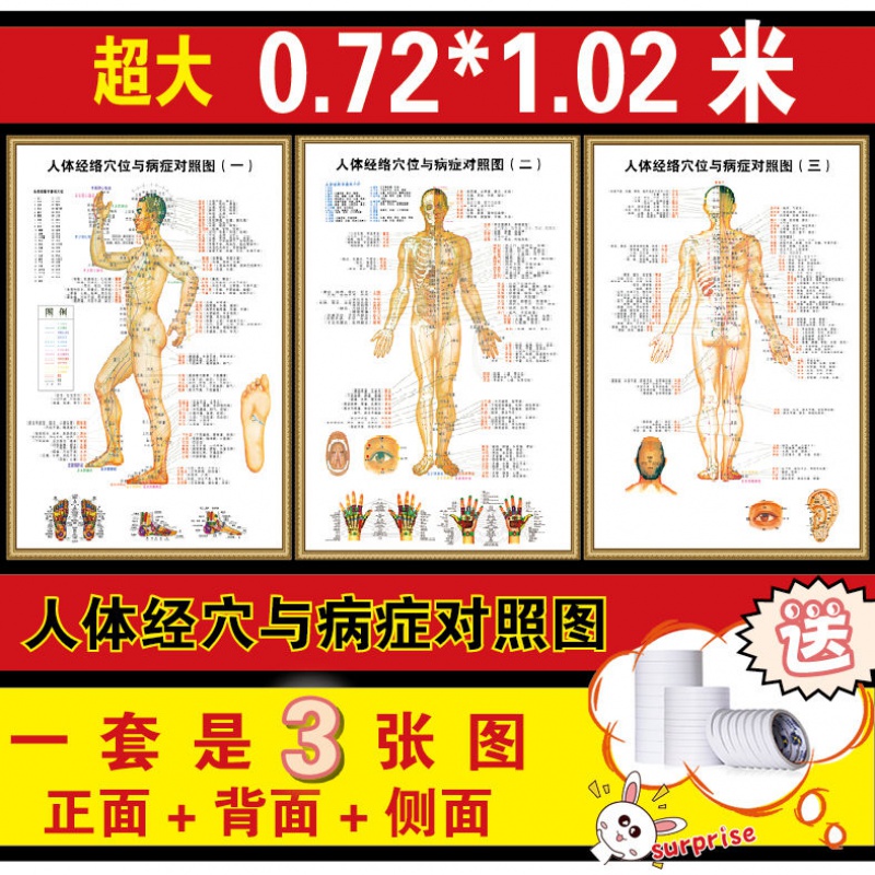 Traditional Chinese Medicine Acupoint Picture Acupuncture Meridians meridians Body Massage Domestic Human Body Meridians and disorders Against Wall Chart Pedicure of Foot Therapy Scraping