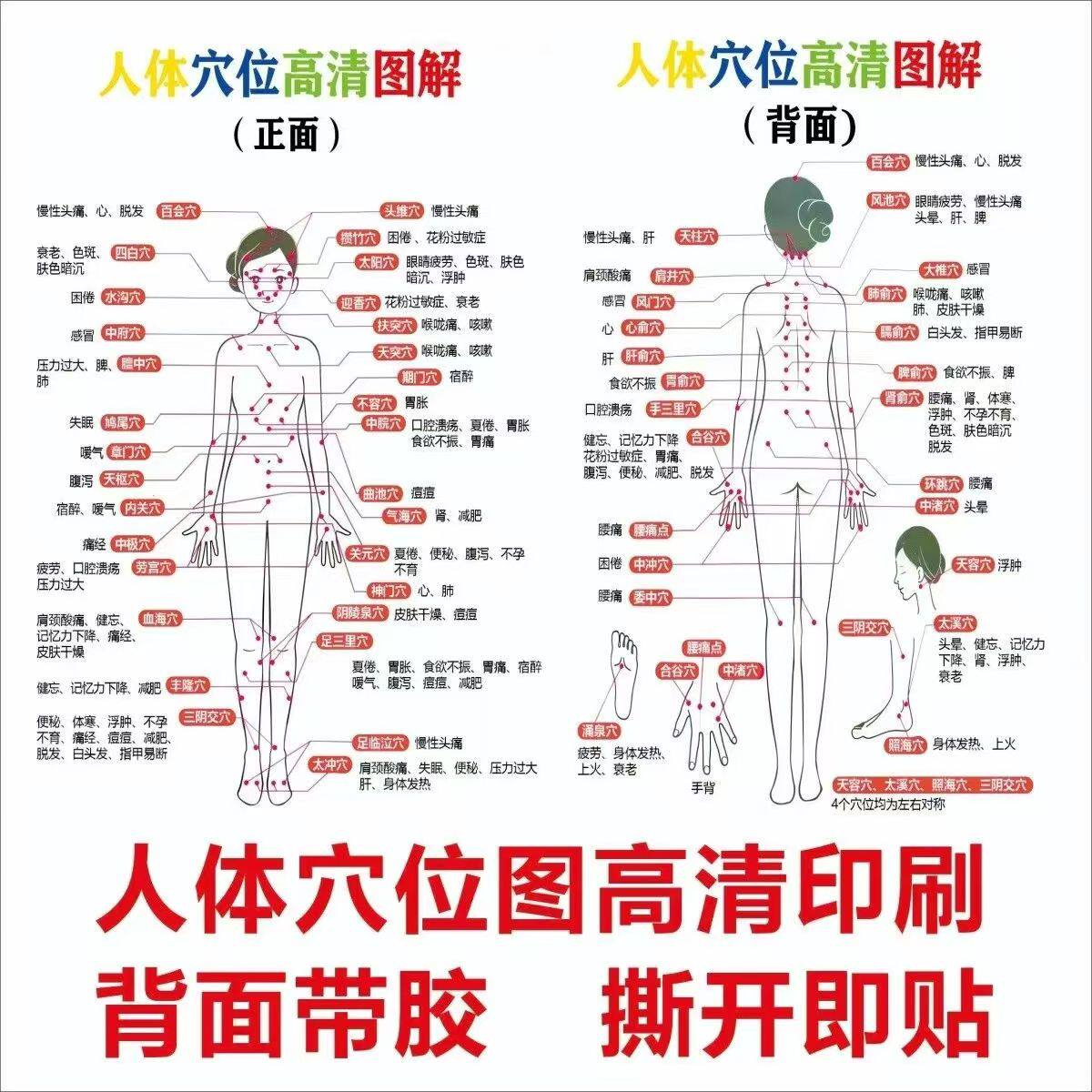 按摩店人体穴位贴纸中医馆诊所墙壁中式防水免胶高清创意装饰贴纸
