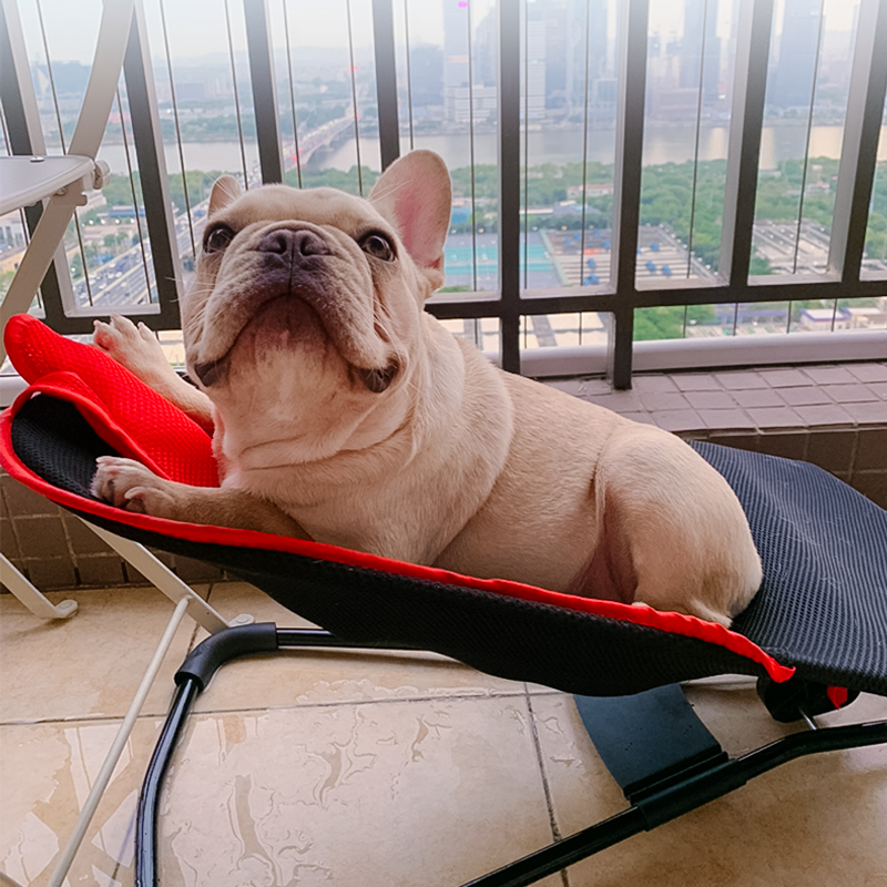 Pet rocking rocking bed spring bed Fabbucket teddy Puppy sunburn Sun Sofa Bed with armchair Rocking Bed Folding Bed Chair