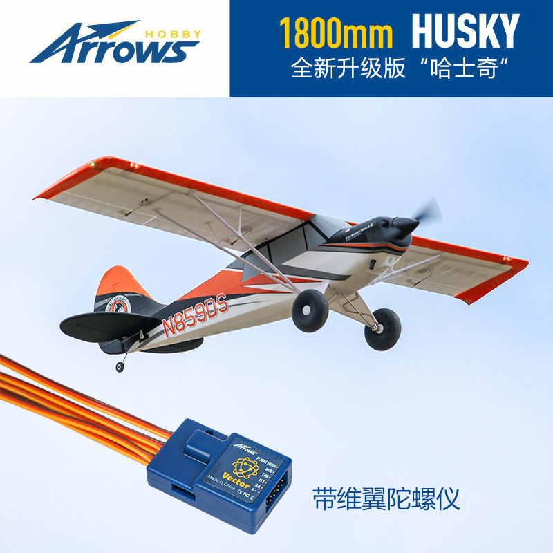 Blue Arrow 1 8m Husky Ultimate Edition large-size assembled like a real entry-level remote control model fixed-wing electric aircraft