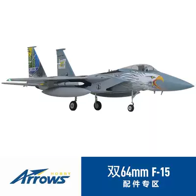 Blue Arrow double 64mm ducted F-15 aircraft fixed-wing fighter remote control model aircraft special assembly accessories (two)