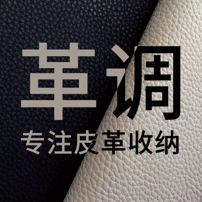 革调皮革家居办公收纳馆的LOGO
