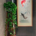 广州花都绿萝种植基地