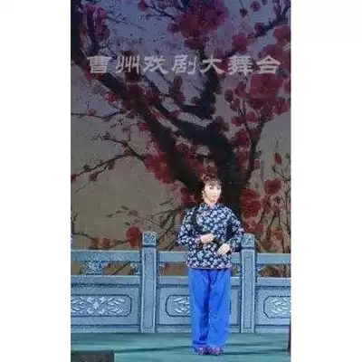 Drama and opera costumes Peking Opera Pingju Yang Sanjie competed to perform the old woman Yang Sanjie old lady costume