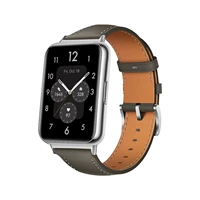 Nebula Grey [Серебряная пряжка и официальный ремень]