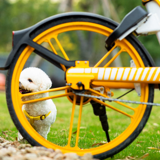 Dog leash, large, medium and small dog walking vest, dog chain, anti-breakaway pet collar, Teddy rope supplies