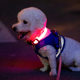 Dog luminous collar multi-color optional LED rechargeable anti-lost dog tag size ring universal Teddy Golden Retriever