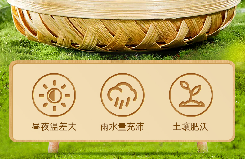 Семена дыни 新货熟南瓜子仁500g原味零食批发无壳南瓜籽仁炒货干果坚果仁烘焙 Mountain flavored things