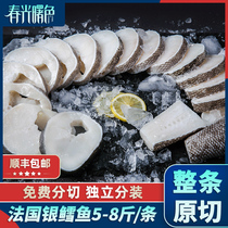 French imported silver cod whole fresh mid-section Antarctic toothfish deep sea real cod pieces baby food supplement