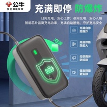 Bull full automatic power off timing cycle intelligent anti-overcharging and overheating socket anti-fire battery car charger