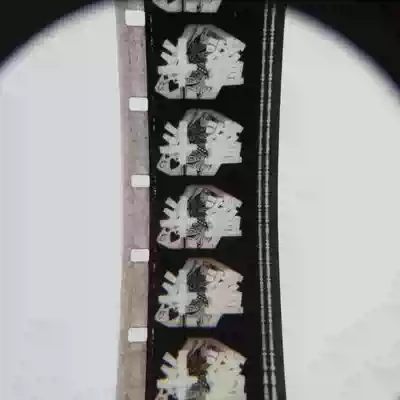 16mm film backsheet film print old film projector black-and-white spy sheet bucket shark