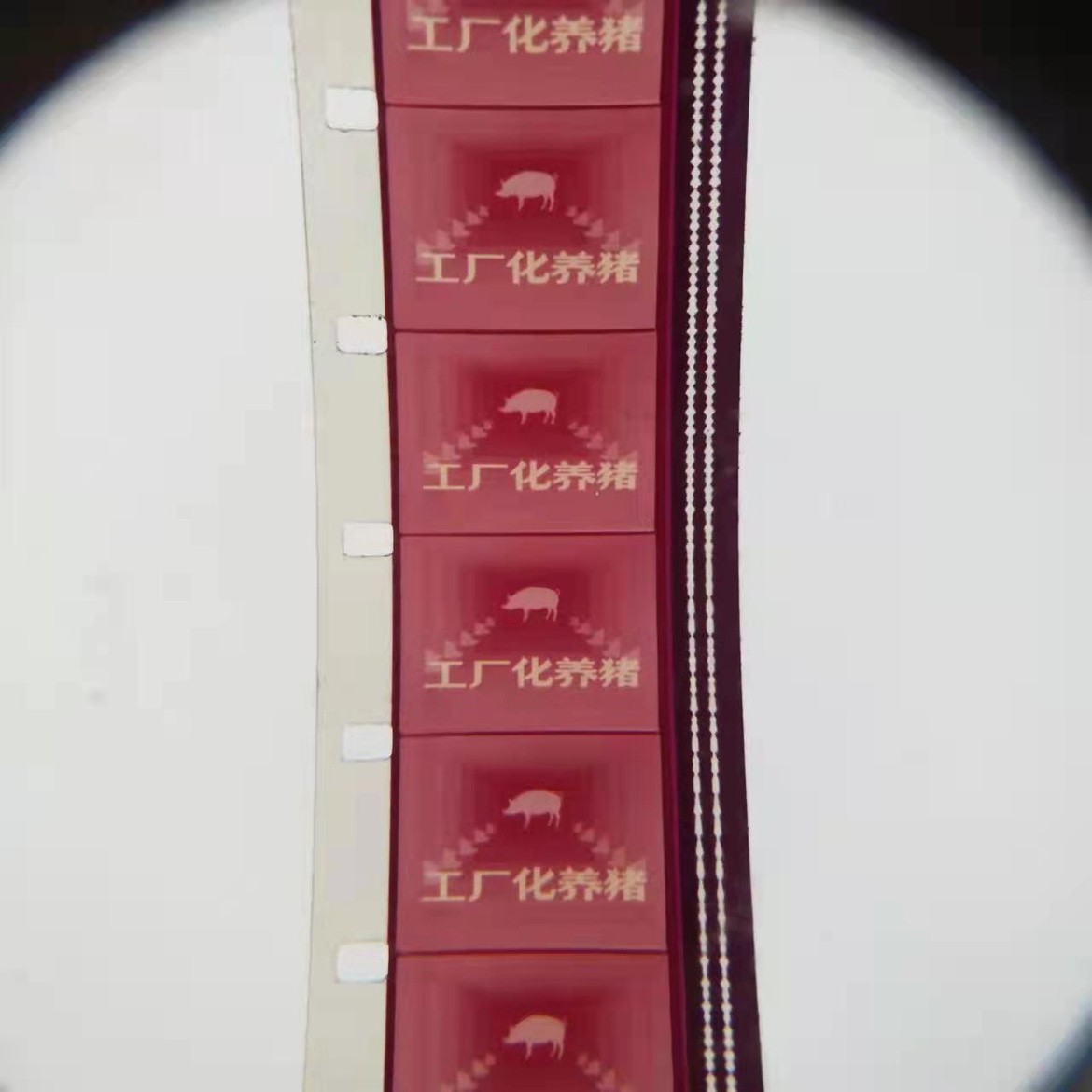 16 mm Movie Negatives Movie Copy Nostalgia Old Old-fashioned Movie Projector Colorful film Factory Hog