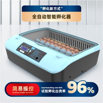Luding Chicken Incubators Incubators Incubators Fully Automatic Smart Home Small Chicken Parrot Hatchery Hatchery Mini Mini Mini Mini
