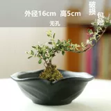 Мош мяч цветочный горшок, бамбуковая пор вода, подобная керамическому креативному фиолетовому песку китайский дзен дзен, оформление офиса бонсай