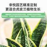 Tiger Pi LAN Выделенные медленные удобрения компонента с соединением мебели.