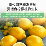 Лимон -сделка медленные удобрения. Обязательные комбо -удобрения.