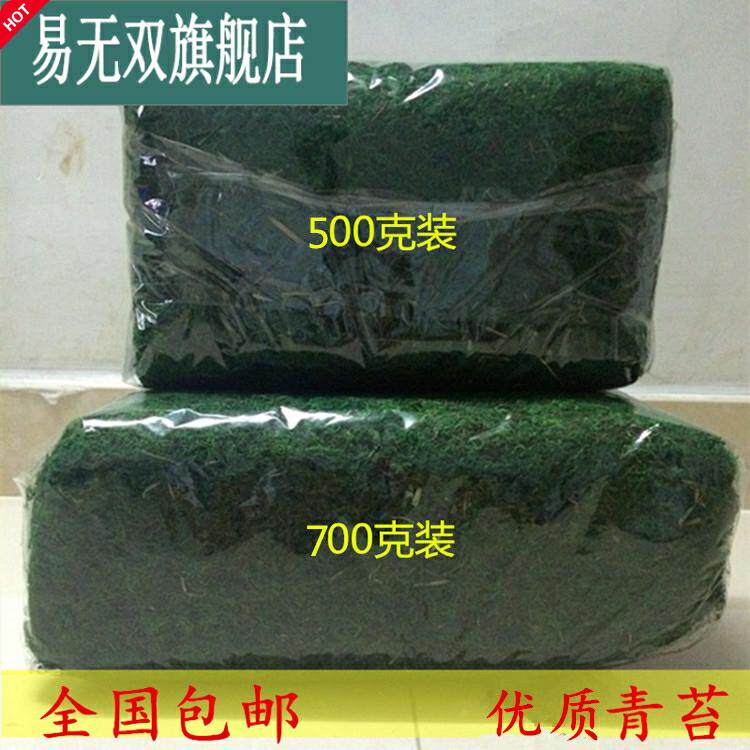 Moss Green moss water grass protective potted grass bonsai bonsai paving decoration Simulated green plant flowers and flowers