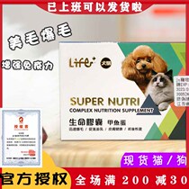 Life Capsule Dog Cat Popcorn With Postoperative Dermatosis Hair Follicle Repair Meme Pregnancy Dog Supplies Oxymoron Eggs Balls