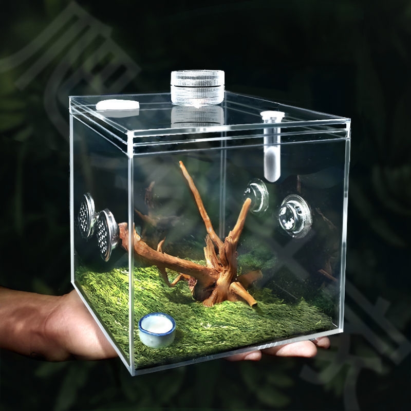 Cumin Jar Oil Hyacinth Tree Frog Breathable Control called jar High transparent Trees Tinnitus Tank Chirbug Eco box High through spider-Taobao