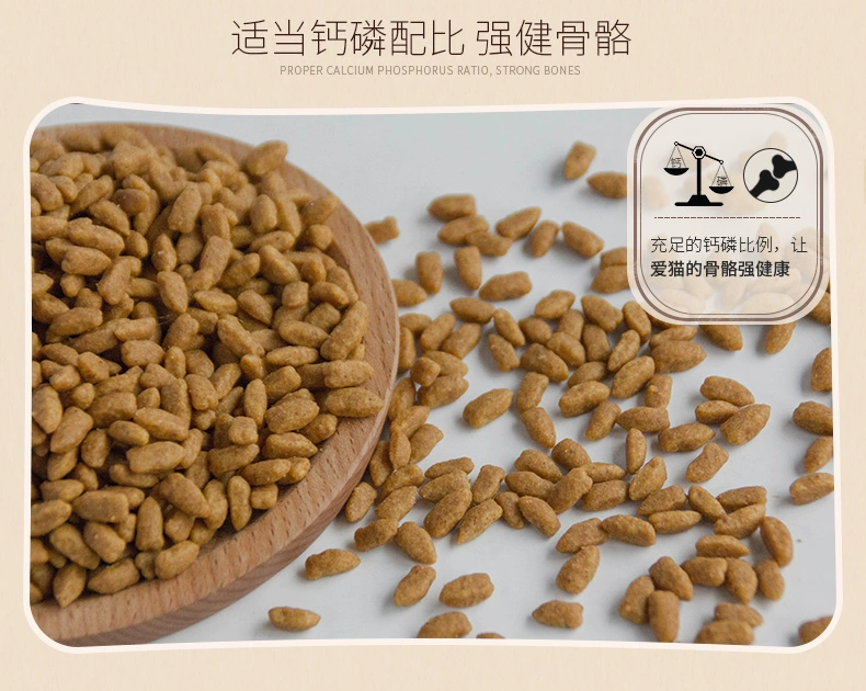 Thức ăn cho mèo trong nhà 5kg, mèo con, mèo trưởng thành, thức ăn cho mèo tự nhiên, thức ăn cho mèo hương cá, thức ăn chủ lực 10 kg - Cat Staples