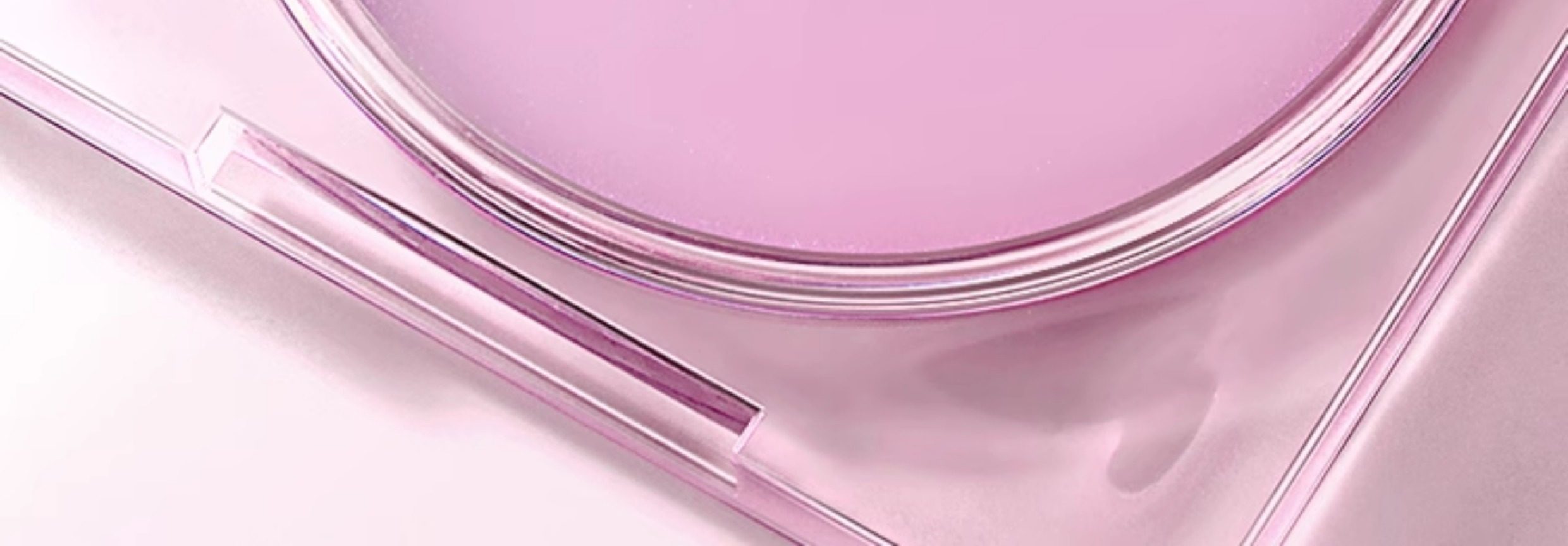 【中国直邮】 滋色 定妆膏 无粉感粉饼粉冻持久控油定妆蜜粉防水细腻散粉 #透明色4g