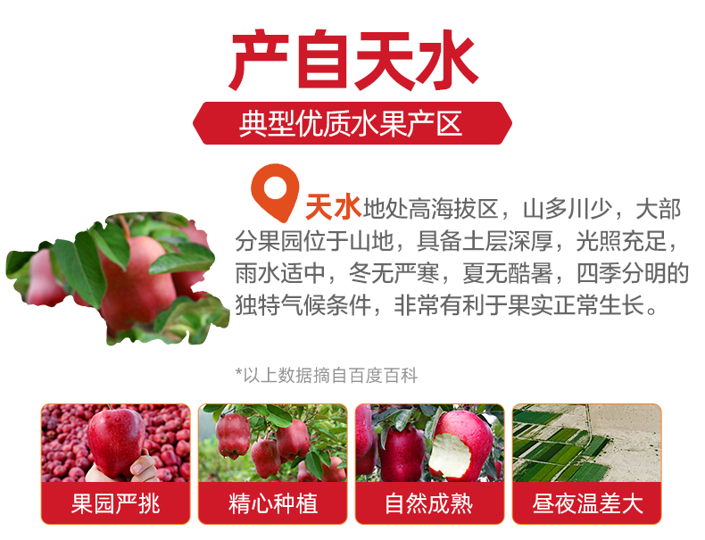 【虎哥严选】甘肃天水花牛苹果带箱5斤