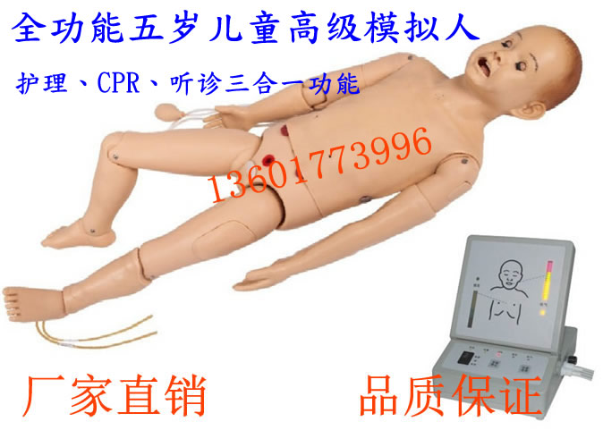 高级五岁儿童模拟人 全功能儿童急救模拟人T434