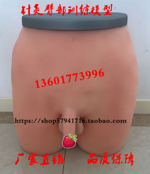 针灸臀部训练模型 臀部针灸模型 成人臀部针刺训练模具