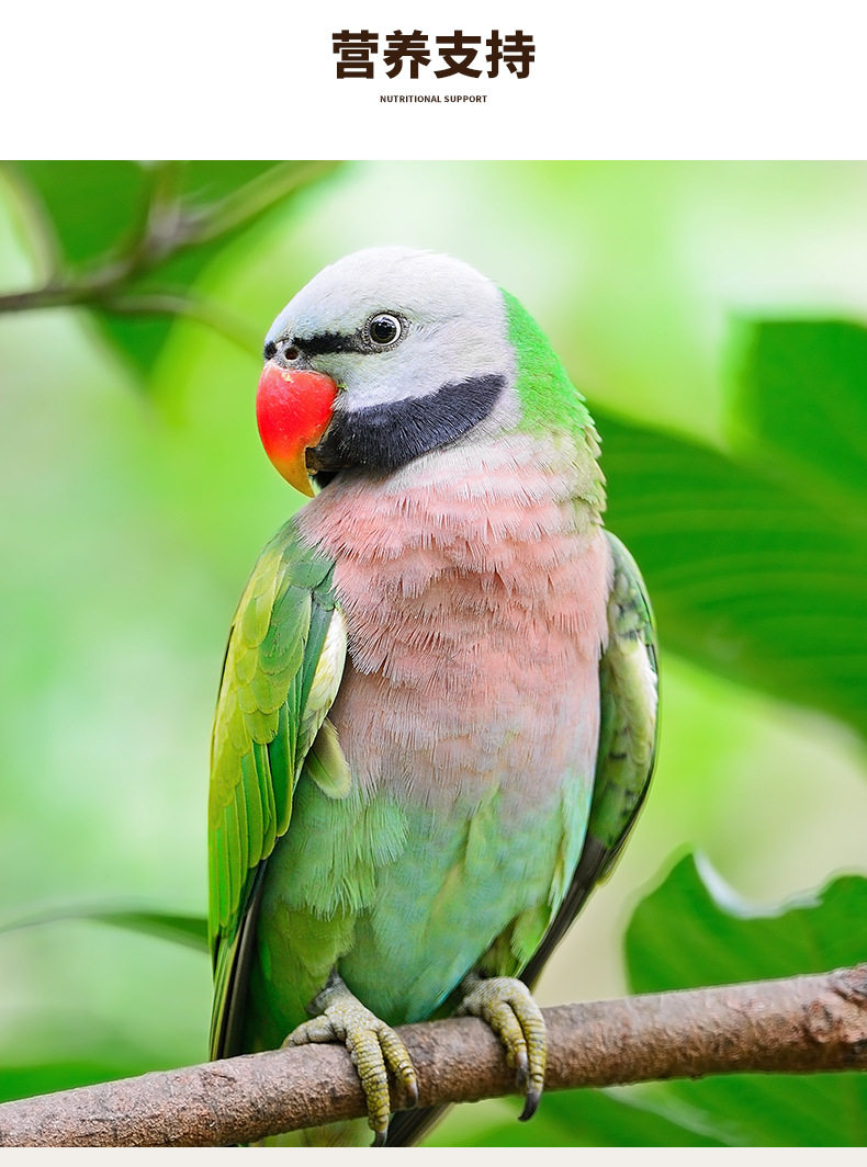 Подробности таблеток Parrot Page_07.jpg