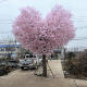 Artificial Cherry Blossom Tree, Fake Peach Tree, Large Plant, Dense Artificial Cherry Blossoms, Artificial Peach Blossom Tree, Wish Tree, Peach Blossom Decoration