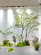 Large Artificial Nandina Bamboo Green Plant, Fake Tree for Indoor and Outdoor Dry Landscape Decoration, Luxury Artificial Tree
