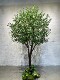 High-End Simulated Olive Tree Display Window Floor-Standing Artificial Tree Decoration Large-Scale Realistic Green Plant Indoor and Outdoor Landscape Decoration