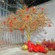 Artificial Money Tree, Wish Tree, Golden Tree, New Year's Golden Banyan Tree, Fake Gold Tree, Spring Festival Decoration, Hall and Mall Fortune Tree