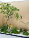 High-End Artificial Horsewood Hanging Tree for Indoor Decoration, Landscape Tree for Window Displays, Fake Plant for Stairway Landscaping